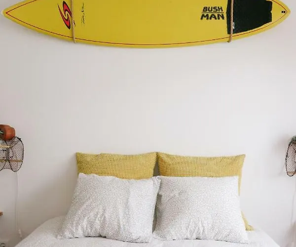 Nvidas * Figueira da Foz