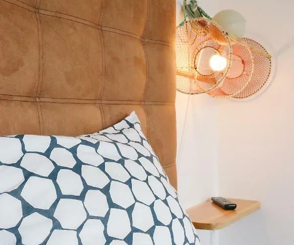 Nvidas * Figueira da Foz